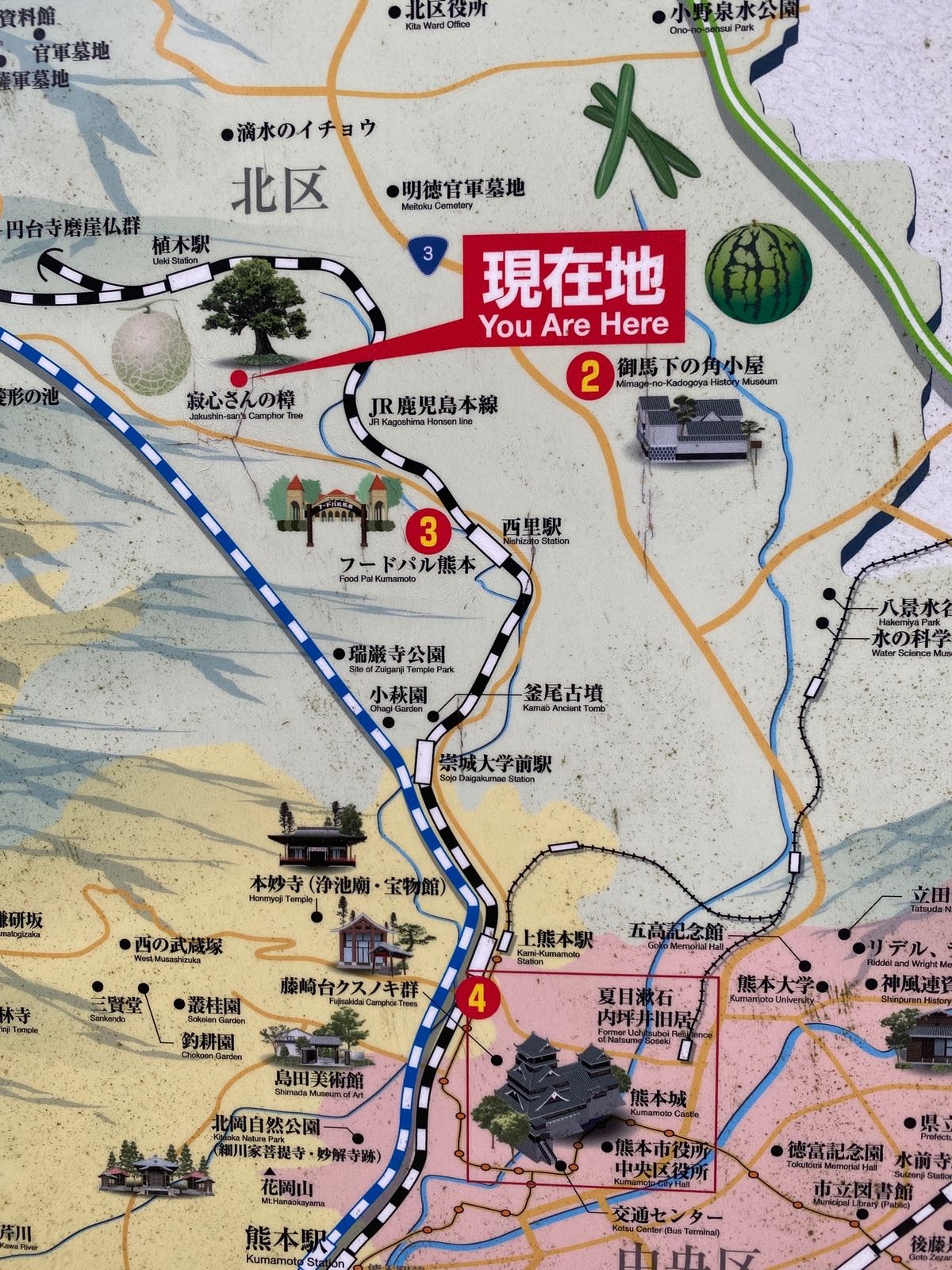 2020.06.06
日本で2番目に大きい楠木
1番は鹿児島蒲生神社⛩です。
