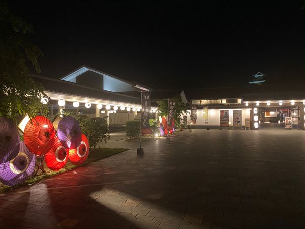 日本「6月:熊本城再開:特別観覧橋」の写真：2020.06.07
夜9時に歩きました...