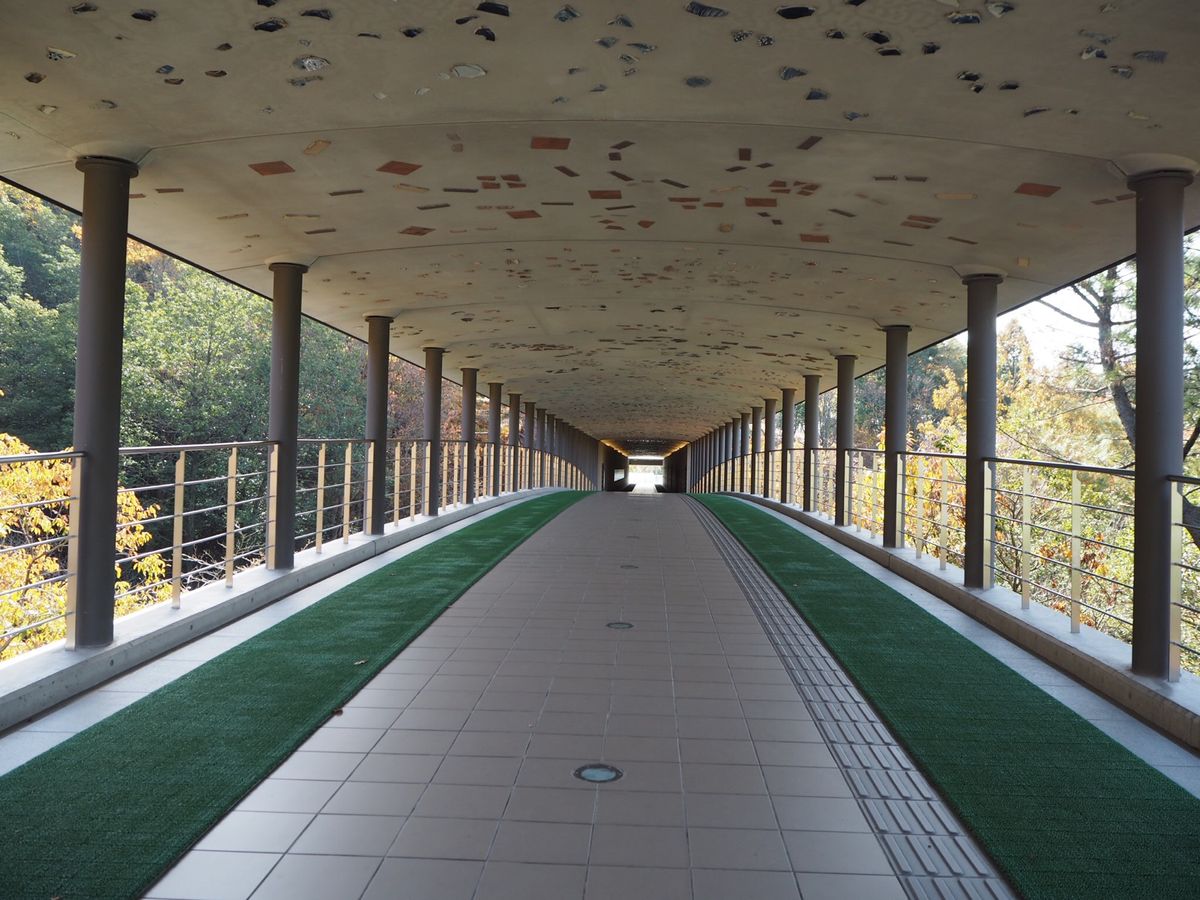 marimekkoの世界も道中の紅葉も🍁最高でした！