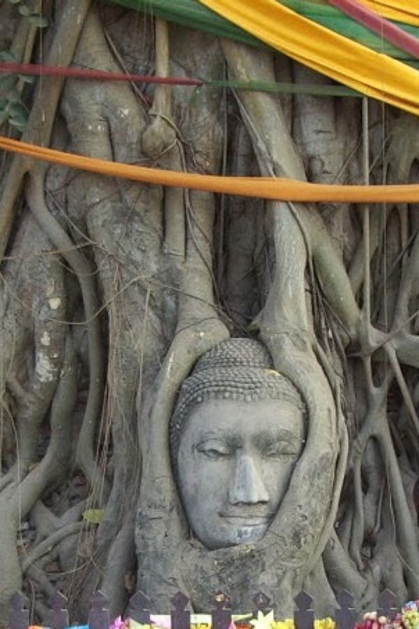 タイ・バンコク「タイ」の写真