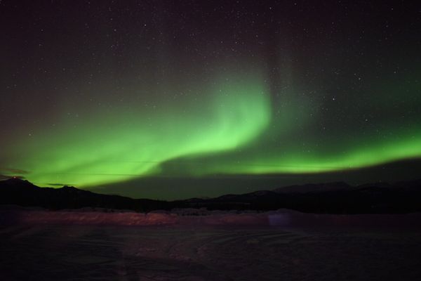 カナダ・ホワイトホース「カナダオーロラ 2回目」の写真