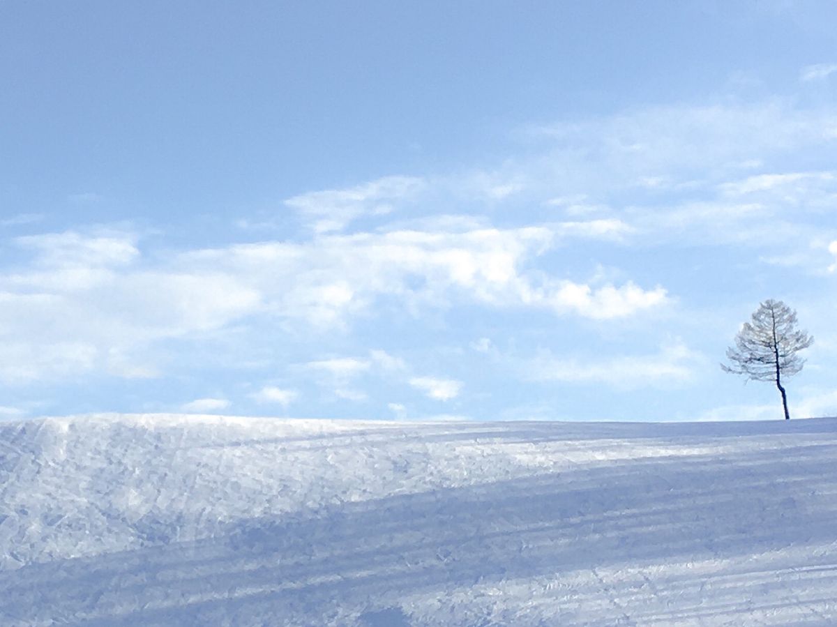 山間部だけれど、朝方の霧は幻想的。
ホテルやスキー場や温泉があって観光地に...
