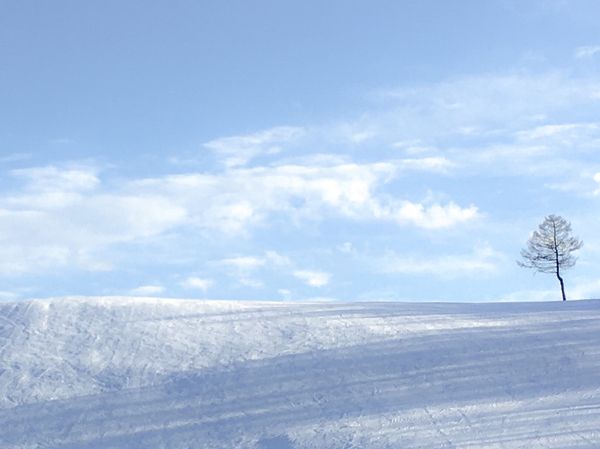 日本・長野県「長野県 78日間の旅。」の写真：山間部だけれど、朝方の霧は幻想的。
ホテ...