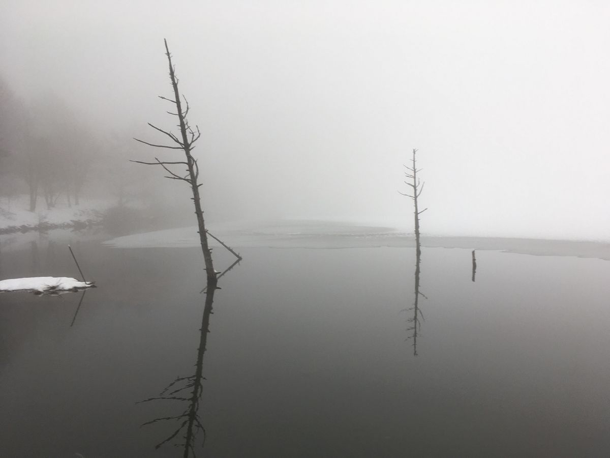山間部だけれど、朝方の霧は幻想的。
ホテルやスキー場や温泉があって観光地に...
