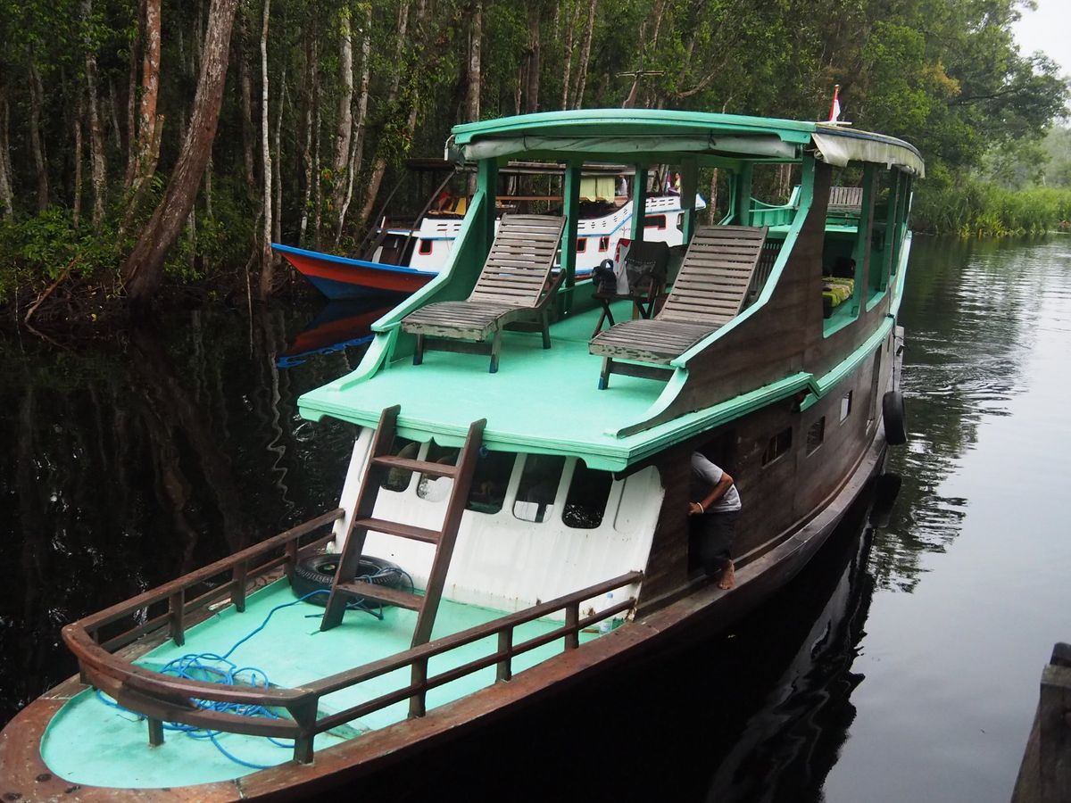 小型のクルーズ船は狭い川を進み、ジャングルの奥地に入っていきます。
ジャン...