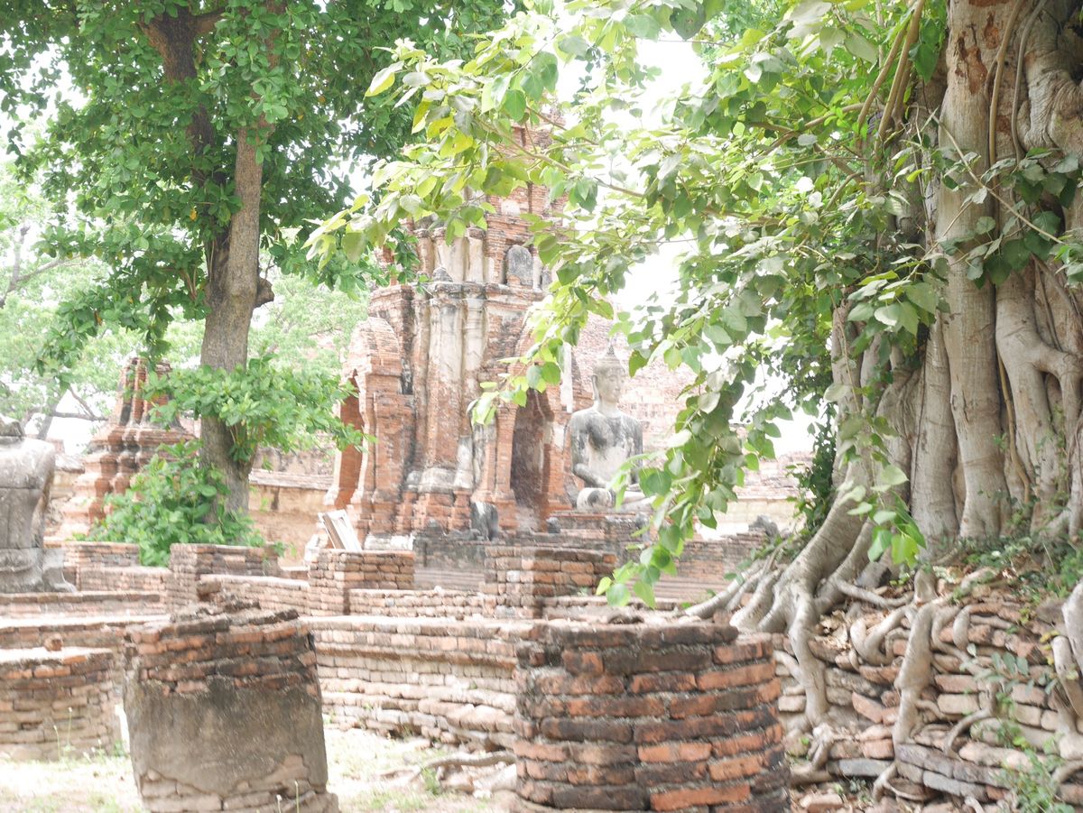 初めてのタイが楽しかったので、すぐに再訪。今回はアユタヤに行きました。
遺...