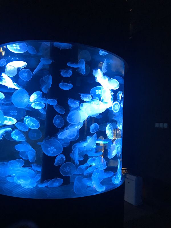 日本・新潟県「新潟」の写真