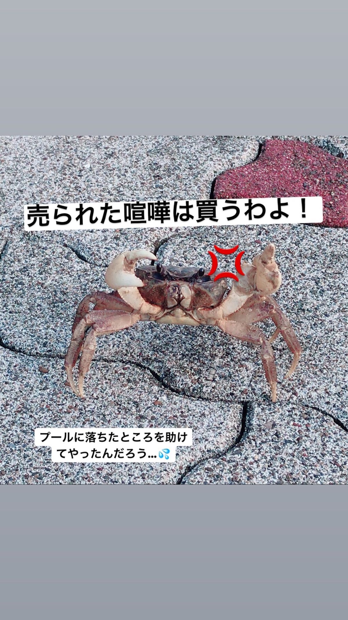 カニカニ🦀パラダイス😅