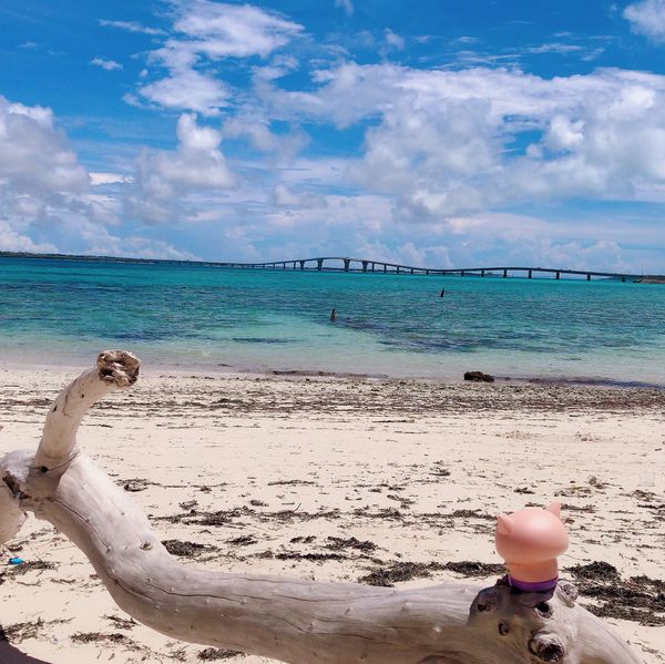 日本・宮古島「宮古島」の写真