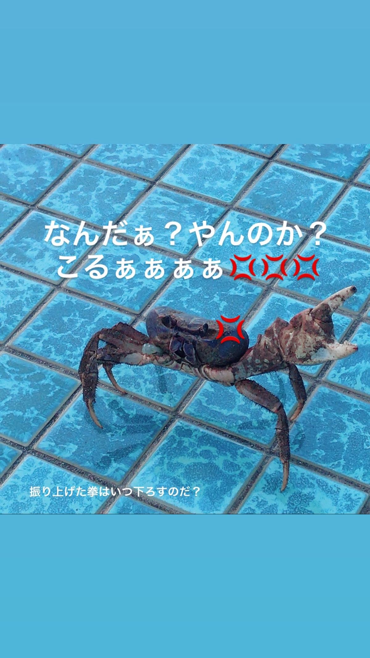 カニカニ🦀パラダイス😅