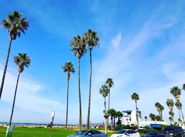 アメリカ(米国)「san diego」の写真：@OB Surf Lodge