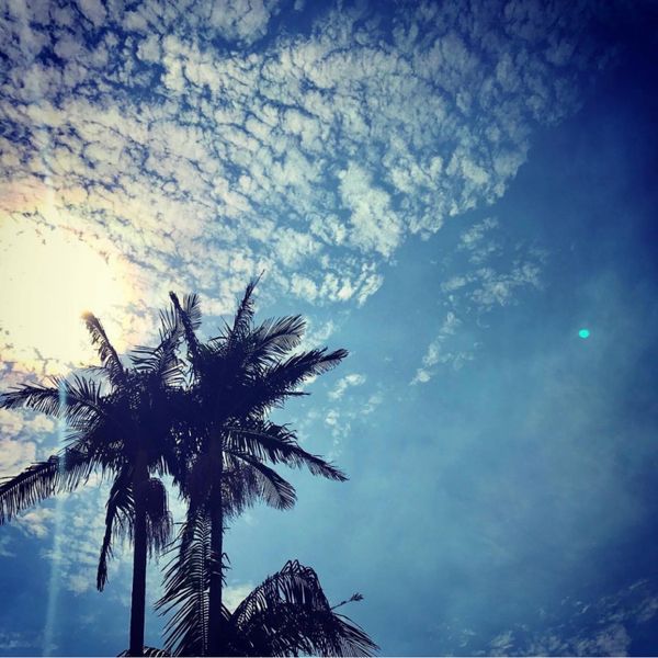 アメリカ(米国)「santa barbara」の写真