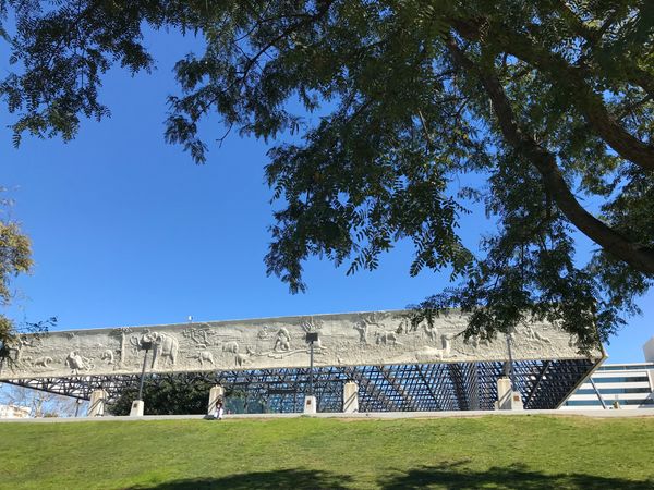 アメリカ(米国)「hollywood」の写真：tar pits ミュージアムではロスの...