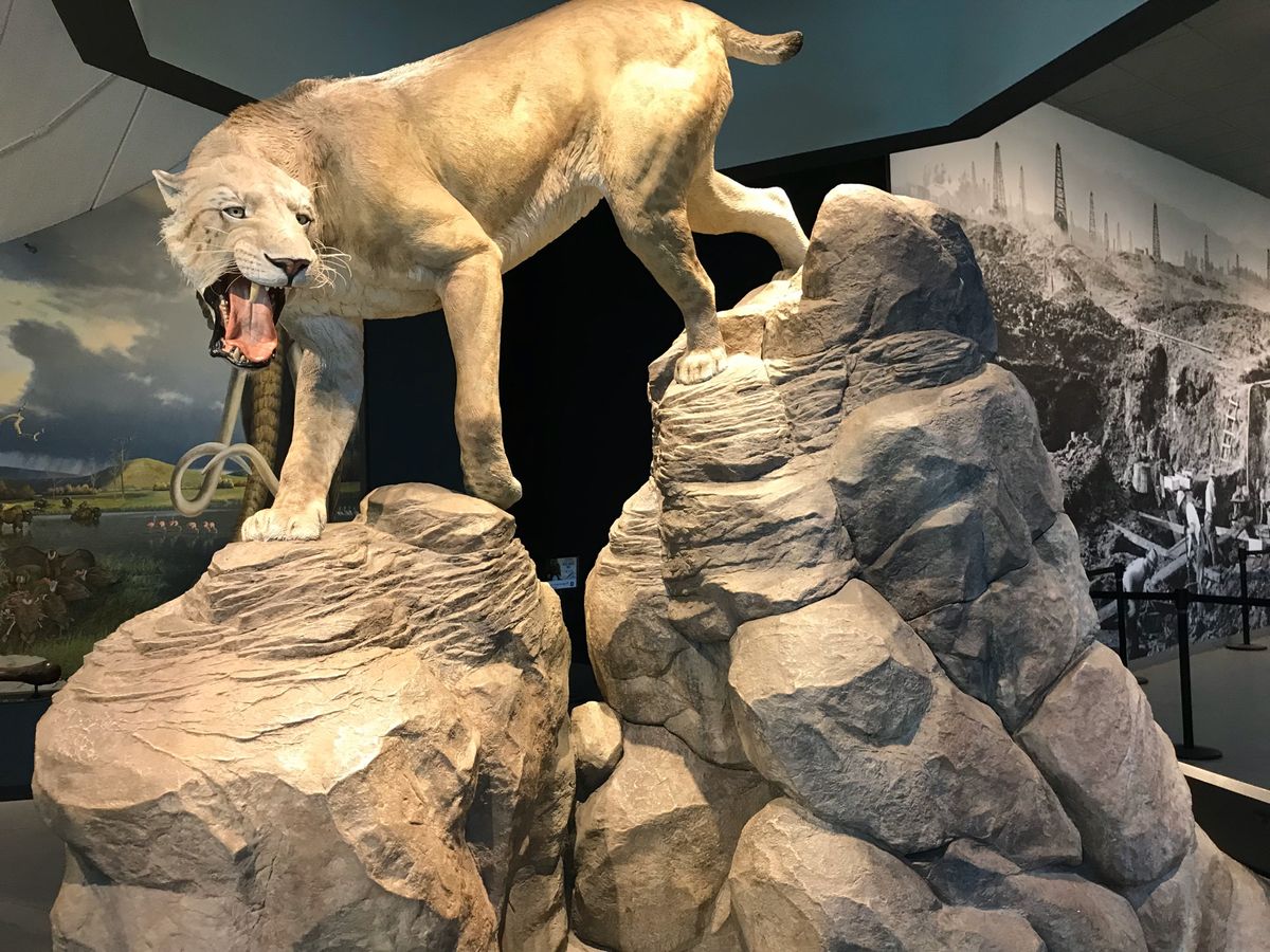 とっても大きな物も沢山ありツアーを楽しみました