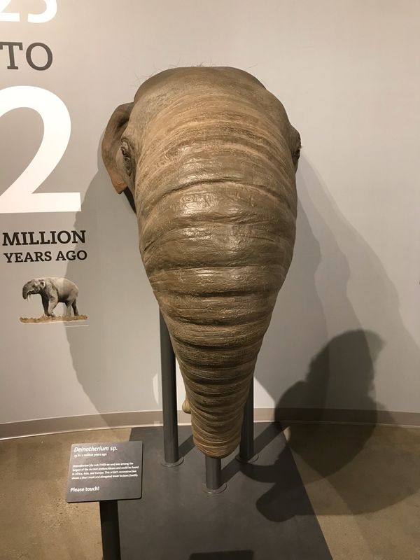 アメリカ(米国)「hollywood」の写真：とっても大きな物も沢山ありツアーを楽しみました