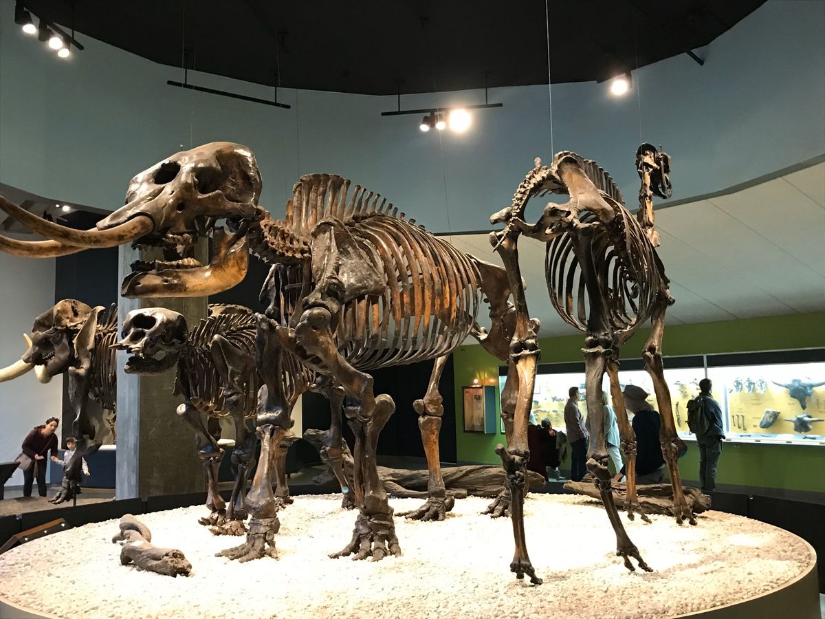 とっても大きな物も沢山ありツアーを楽しみました