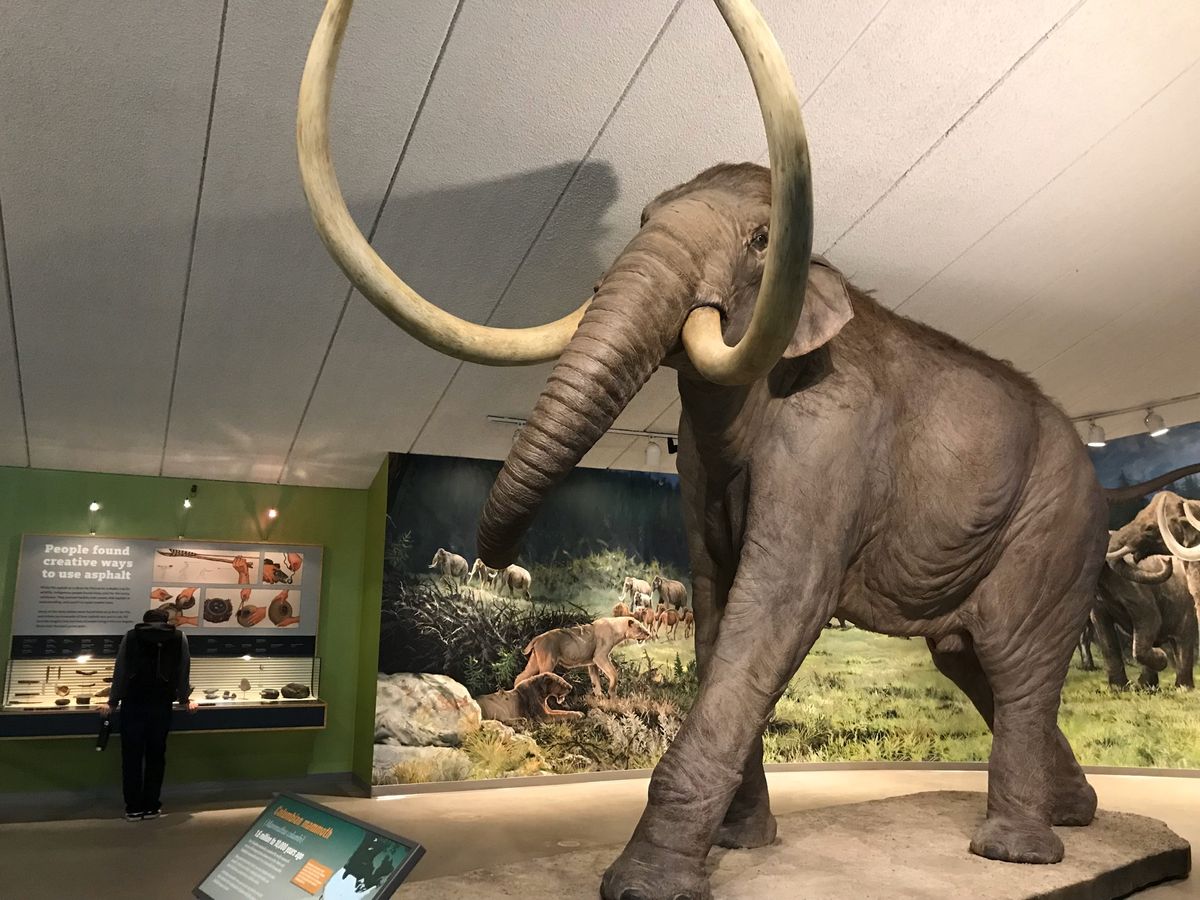 とっても大きな物も沢山ありツアーを楽しみました