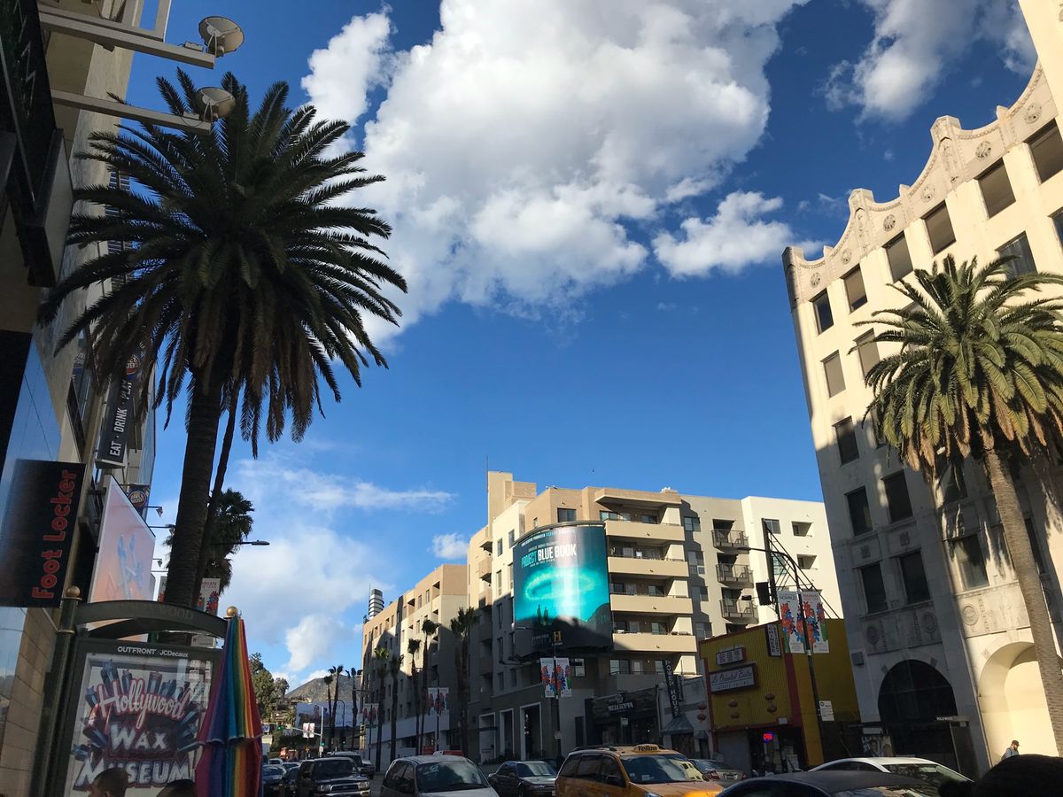 スターを探しながらいつの間にか何ブロックも歩いてました