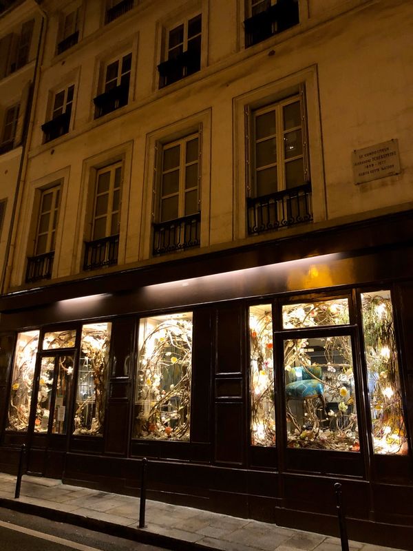 フランス「パリ」の写真：夜の徘徊が楽しいサンジェルマンデプレ。