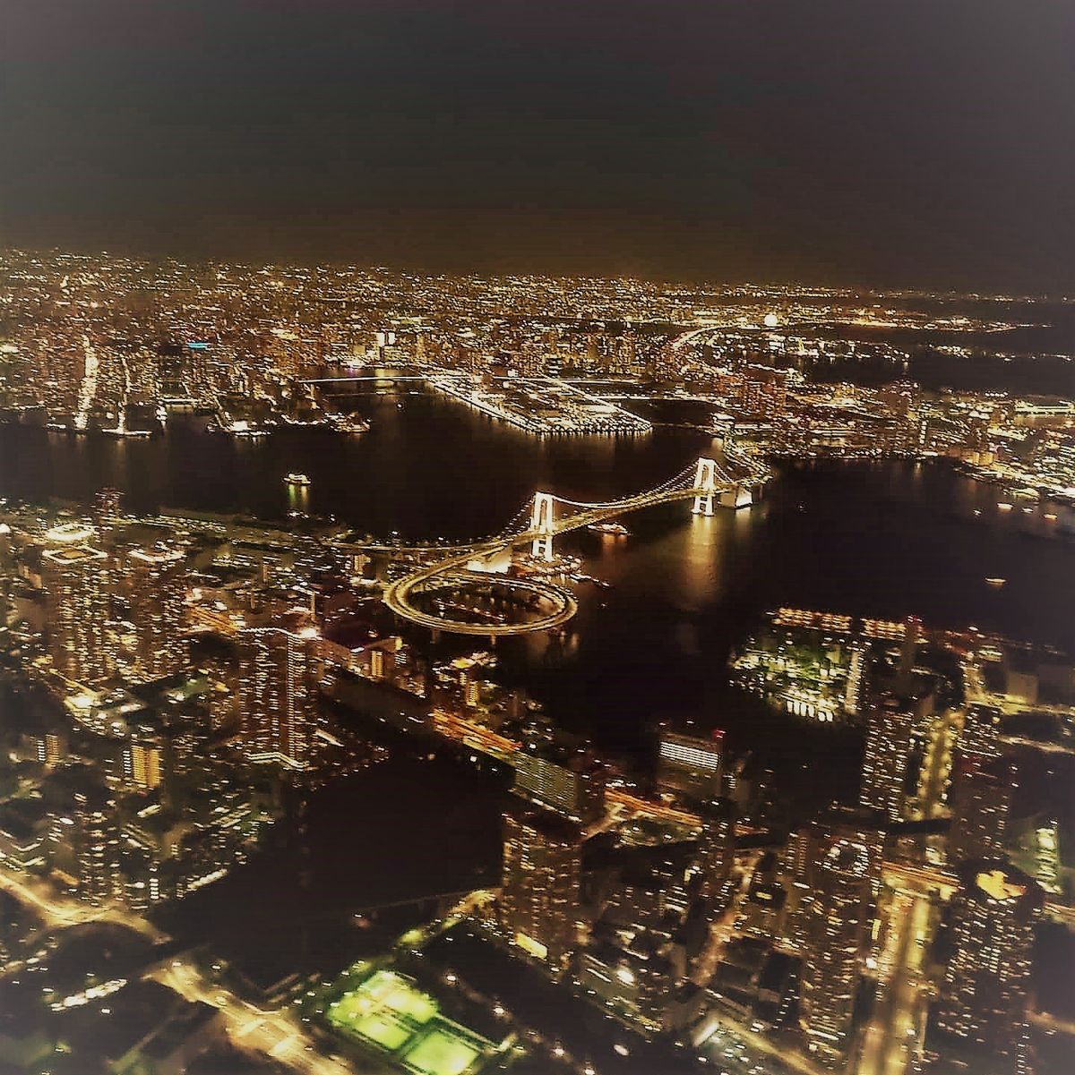 最後の1枚は東京。帰りのフライトで都心上空を飛ぶルートでした。