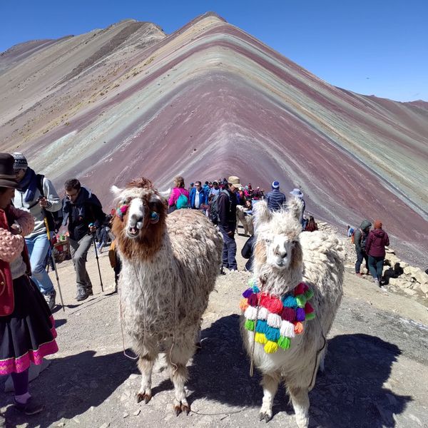 ペルー・Cusco「Peru」の写真