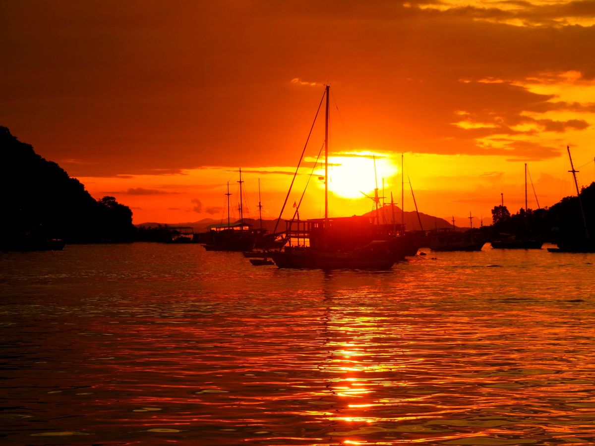 コモド諸島は、マンタをはじめ、大物の魚たちが待っている最高のダイビングスポ...