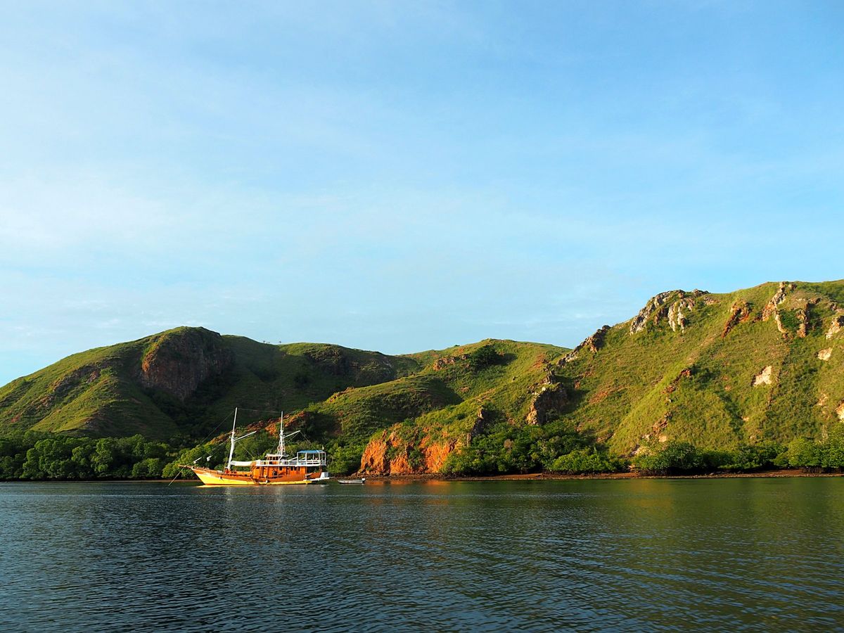 コモド諸島は、マンタをはじめ、大物の魚たちが待っている最高のダイビングスポ...