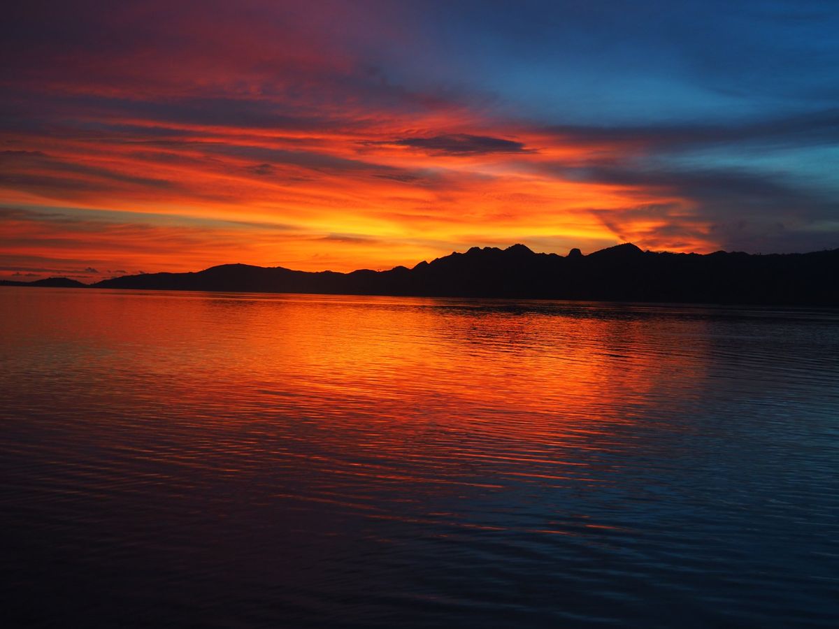 コモド諸島は、マンタをはじめ、大物の魚たちが待っている最高のダイビングスポ...