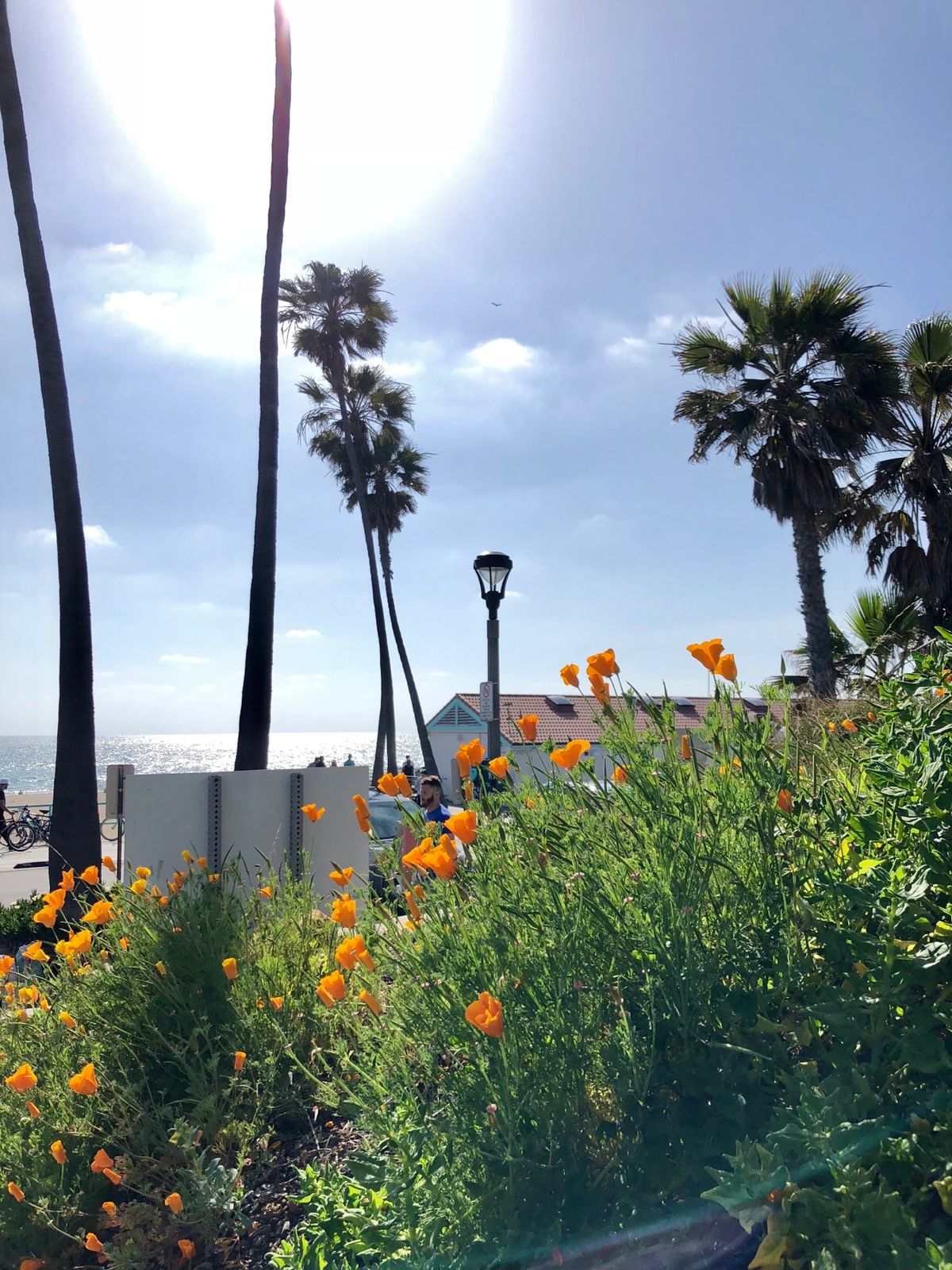 サーフィンスポット、マンハッタン・ビーチ🏄‍♀️L.A.のビーチは、それぞ...