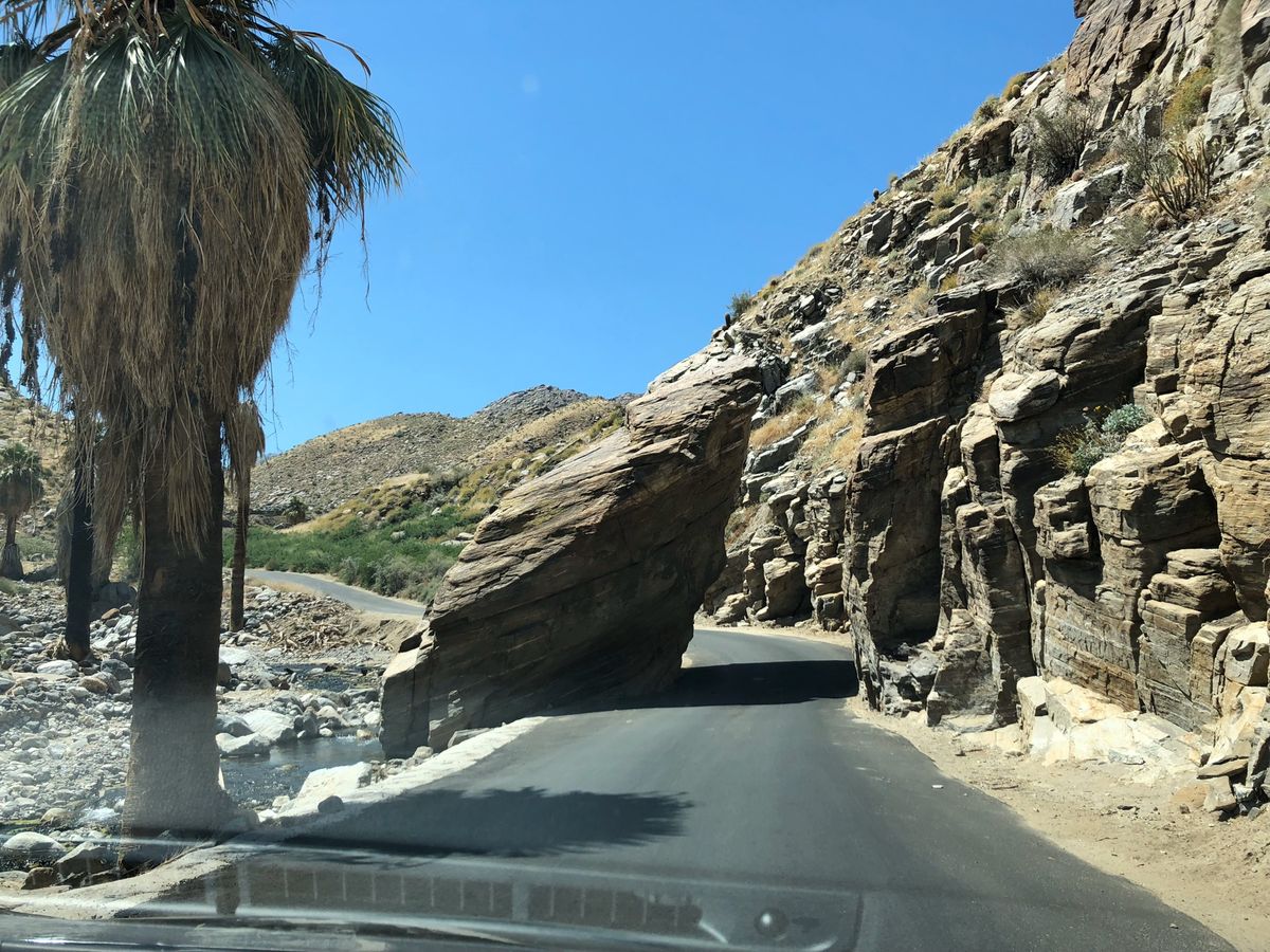 インディアンキャニオンをドライブ。乾いた大地、野性的な椰子の木、ネイティブ...