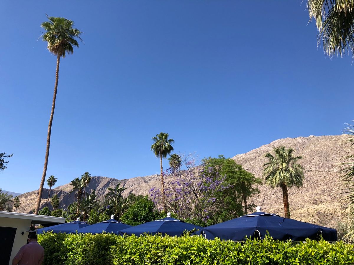 1泊2日で3度目のパームスプリングスへの旅。途中お決まりのHardleyに...