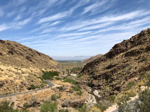 アメリカ(米国)「ロサンゼルス・パームスプリングス」の写真：インディアンキャニオンをドライブ。乾いた...