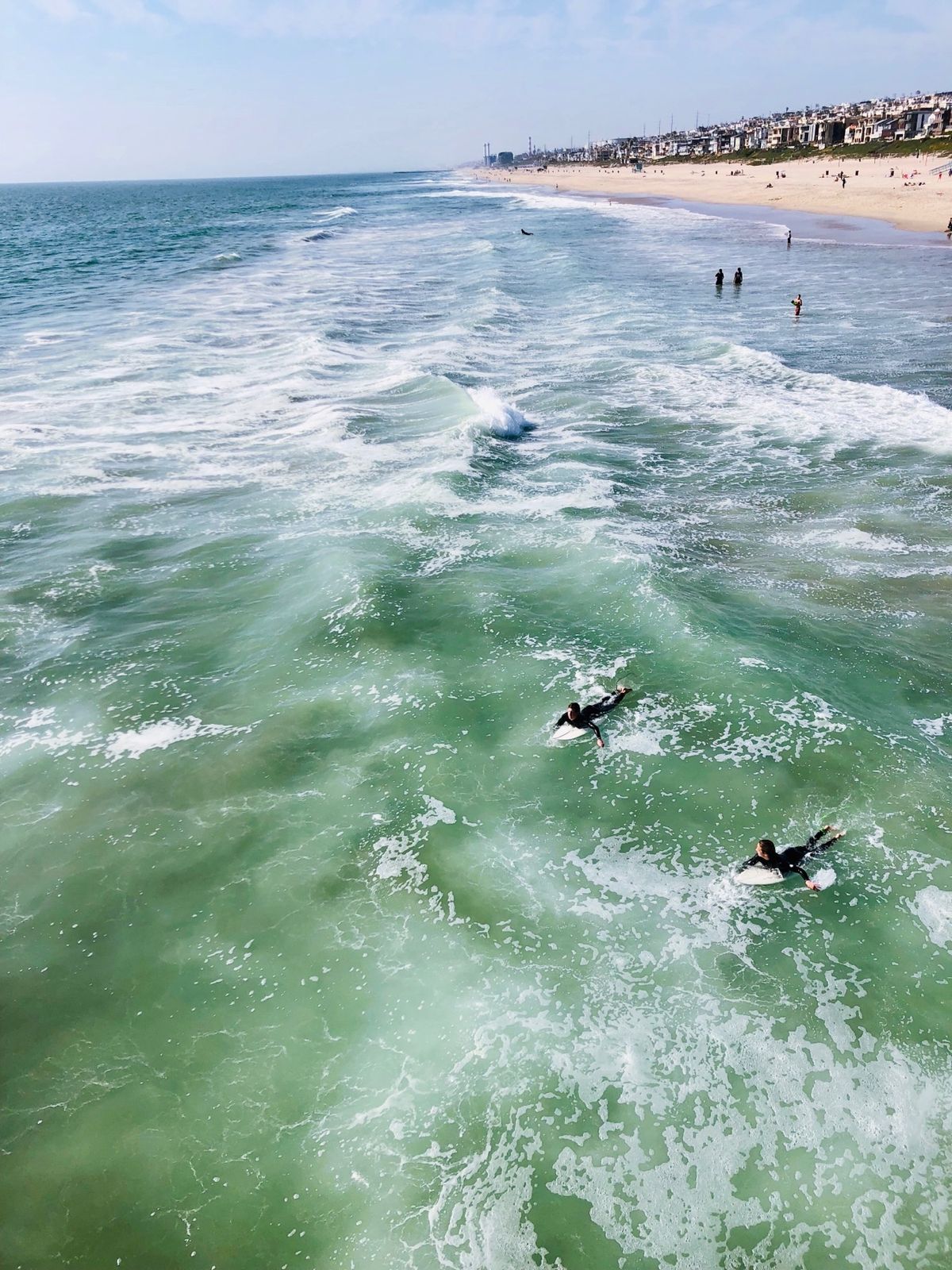 サーフィンスポット、マンハッタン・ビーチ🏄‍♀️L.A.のビーチは、それぞ...