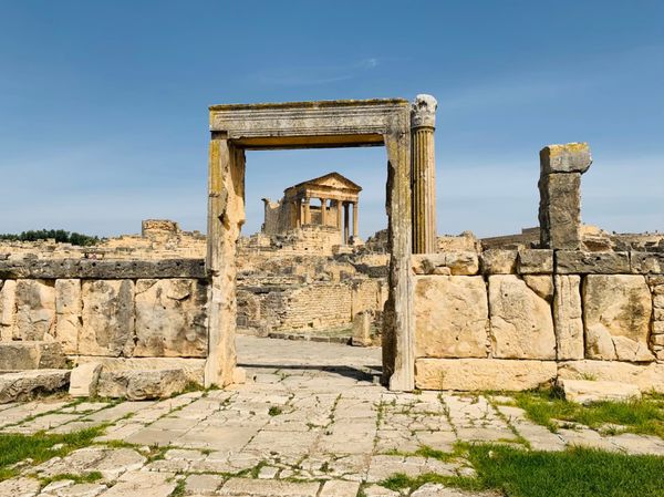 チュニジア・チュニス「チュニジア」の写真：チュニジア