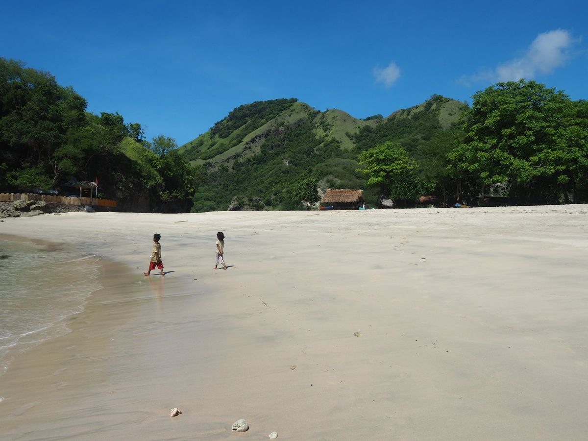 山々しくて意外と大きなフローレス島、公共バスで途中まで移動したけど、本数も...