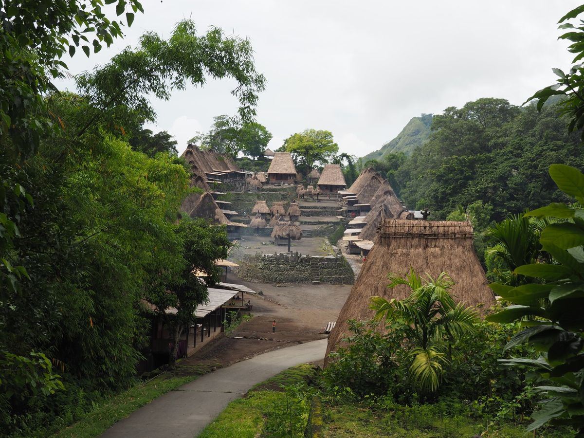 山々しくて意外と大きなフローレス島、公共バスで途中まで移動したけど、本数も...