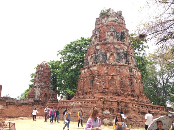 タイ・アユタヤ「タイ旅行🐘🇹🇭🥊」の写真：タイはとにかく食べるものが美味しい😊🙌
...