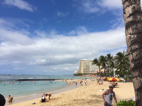 アメリカ(米国)・ハワイ「2度目のハワイ、ビーチでのんびりの旅」の写真