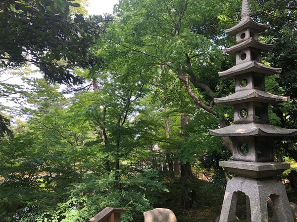 日本・福井県「琵琶湖から兼六園までドライブの旅」の写真：兼六園
