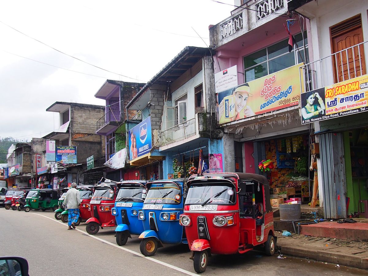 ピンナラワ
群れからはぐれてしまった象を集めて保護している象の孤児院が有名...