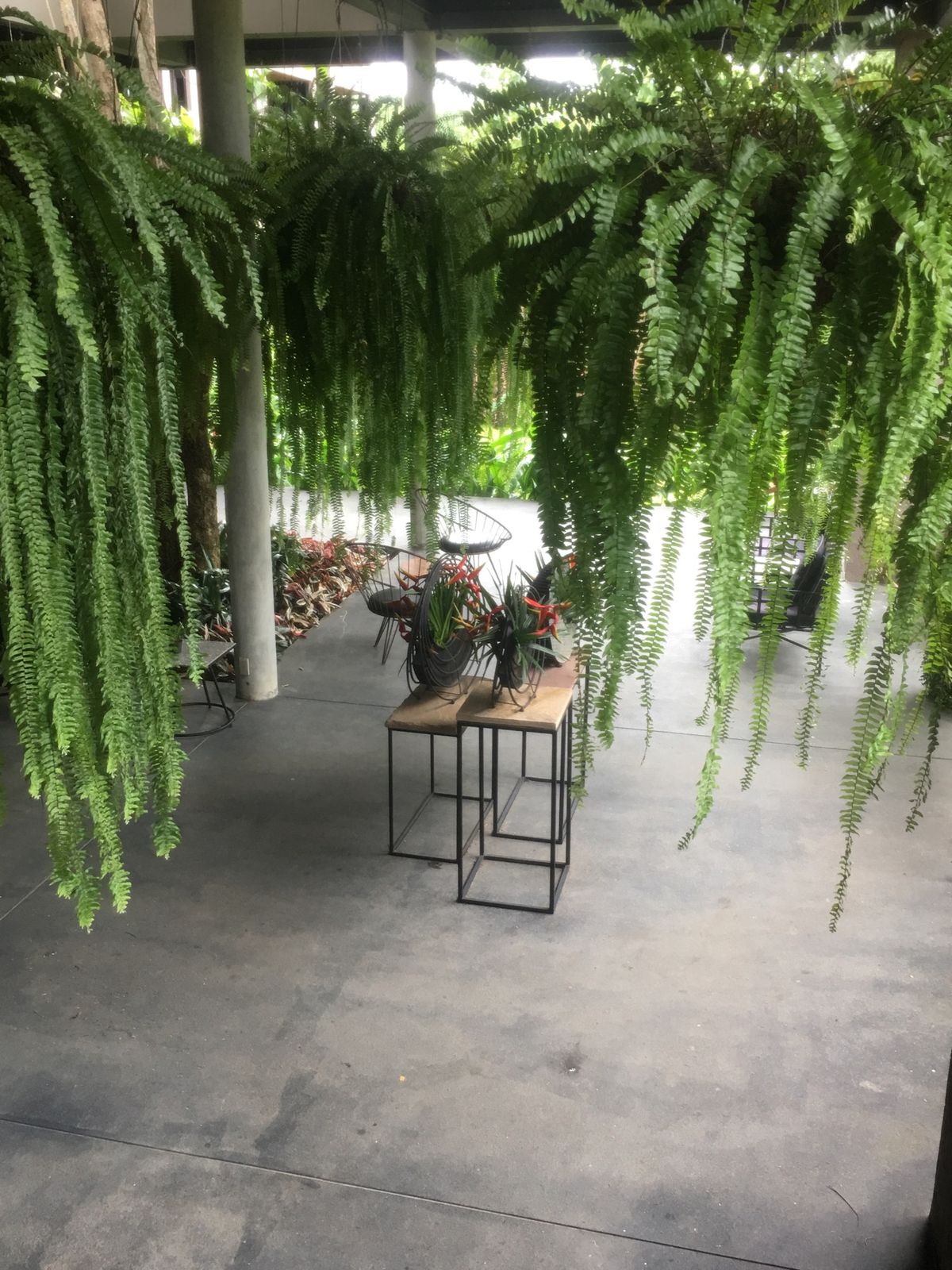 パーイの宿
山好きなので、朝起きてこの景色は気持ち良かった！