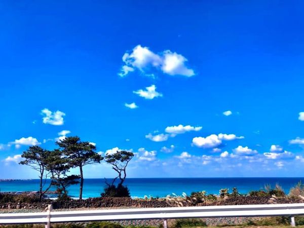 大韓民国 (韓国)・済州島「済州島・2回目」の写真