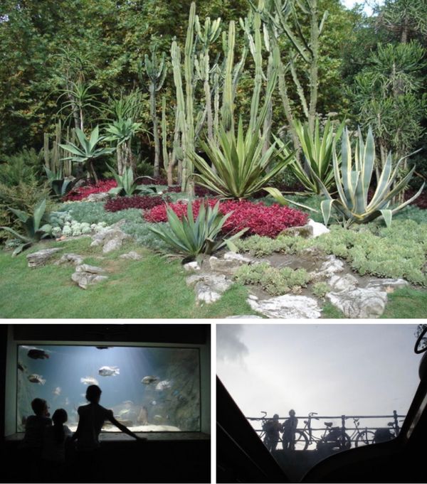 ベルギー・アントワープ「オランダ・ベルギー旅行」の写真