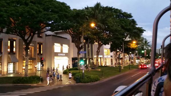 アメリカ(米国)「ハワイ」の写真：家族旅行🌺