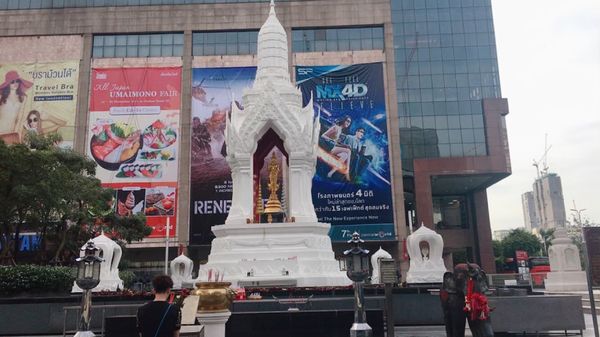 タイ「タイ」の写真