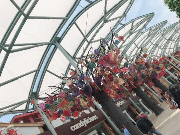 シンガポール「シンガポール」の写真