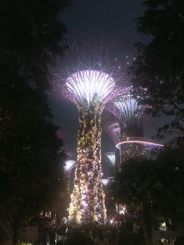 シンガポール「シンガポール」の写真