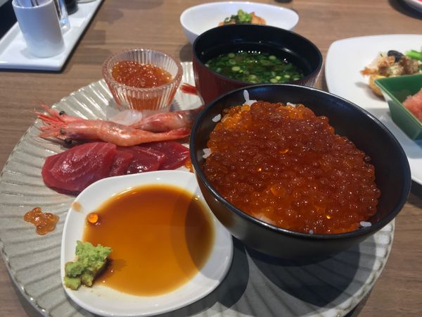 日本・函館「函館の旅withわんこ」の写真：センチュリーマリーナはやはり朝飯っす。写...