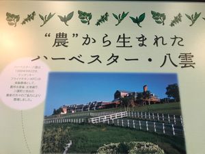 八雲経由で函館へ。ハーベスター八雲とラッキーピエロでつまみ食いしつつ、夜は...