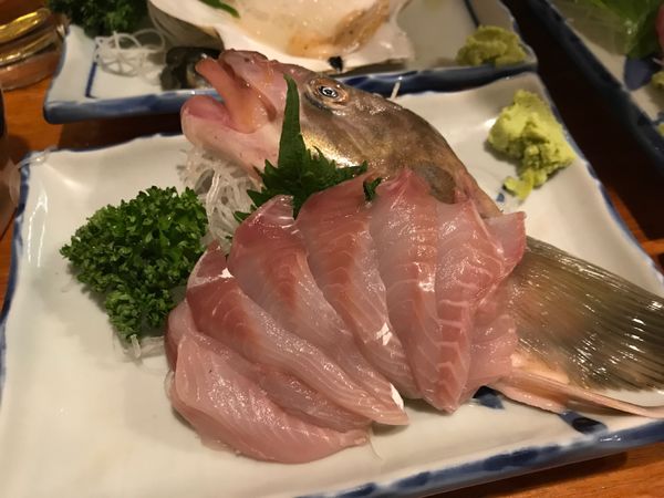 日本・函館「函館の旅withわんこ」の写真：2日目の夜は魚さんこで刺身三昧で飲んだく...